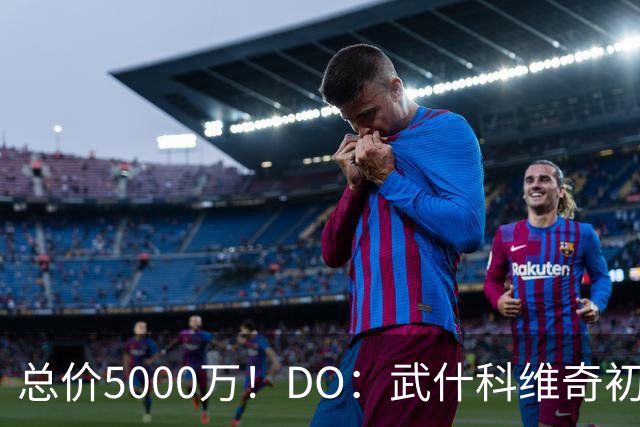 总价5000万！DO：武什科维奇初始转会费4600万镑，热刺有二转分成
